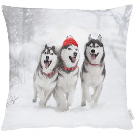 APELT_Kissen_Huelle_HUSKIES_3701_Pudelmuetze_46x46_Fb88_Grautoene