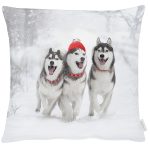 APELT_Kissen_Huelle_HUSKIES_3701_Pudelmuetze_46x46_Fb88_Grautoene